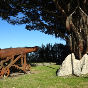 Cannon Ball