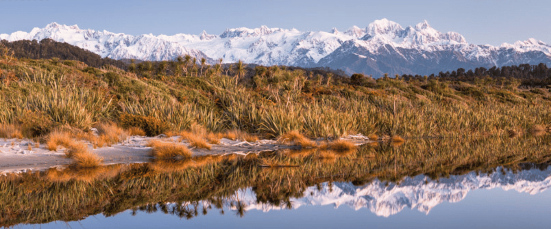 Nzicescapes - 2