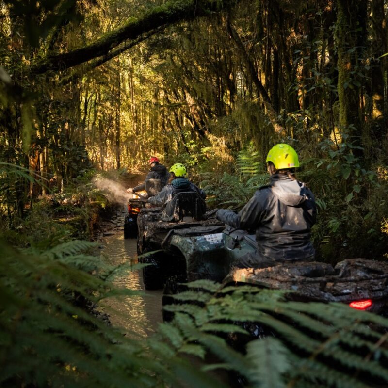Franz Wilderness Tours – Quads