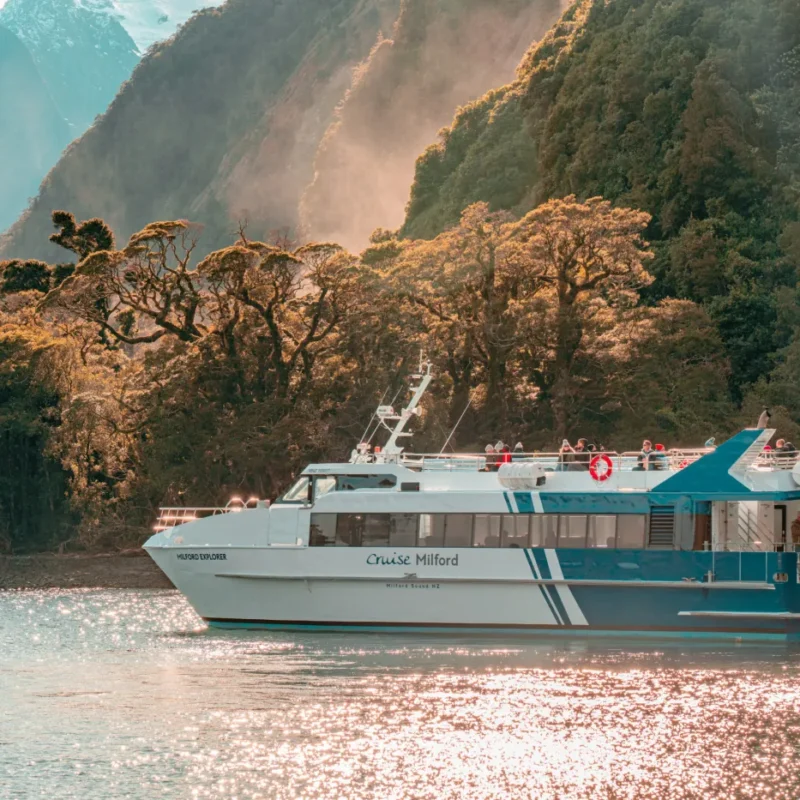Cruise Milford