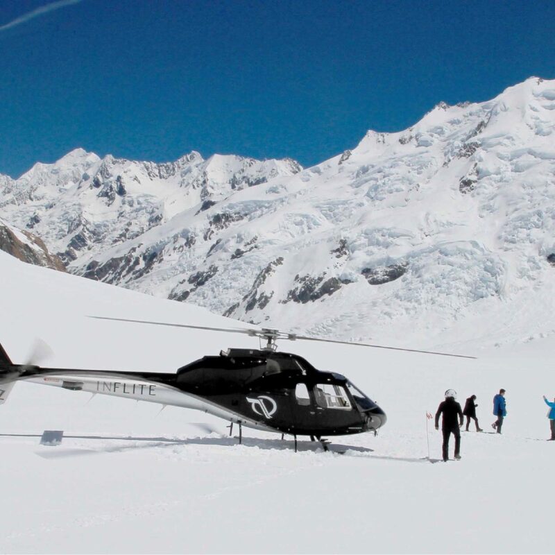 INFLITE NZ Fox and Franz