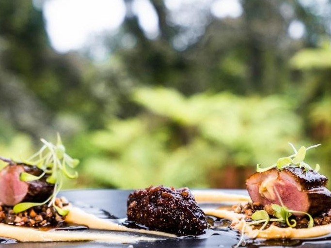 Canopy Restaurant and Frond Bar