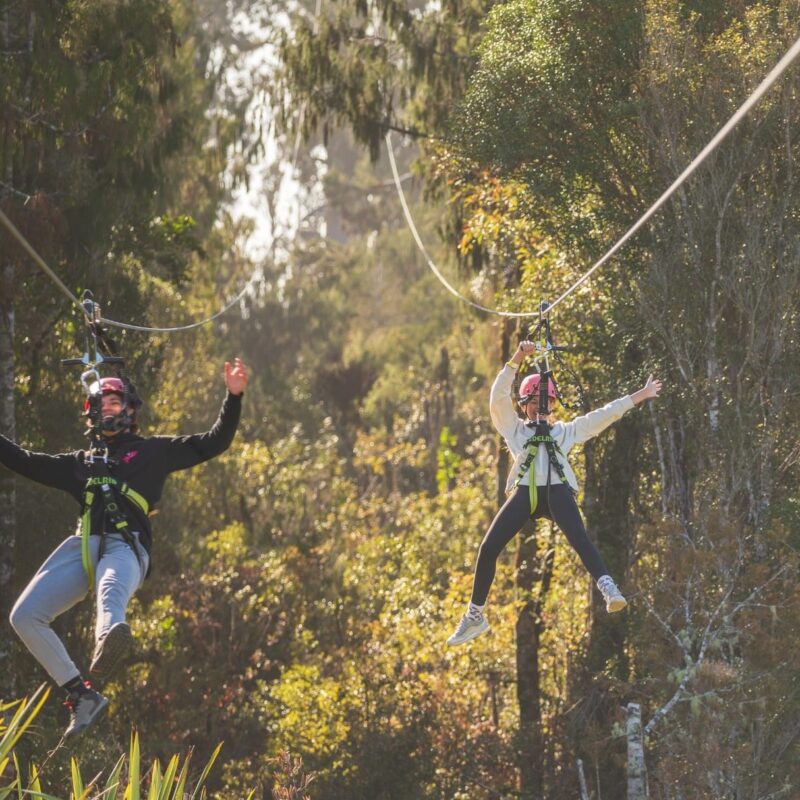 West Coast Treetop Walkway