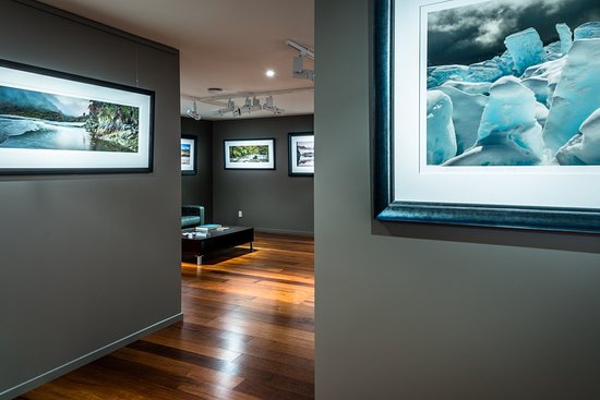 Petr Hlavacek Gallery