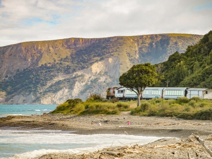 Coastal Pacific Train