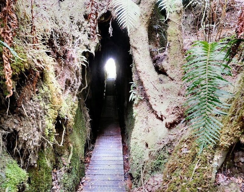 Tunnel Terrace Loop Walk