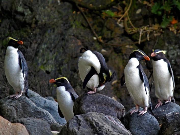 Wilderness Lodge Lake Moeraki