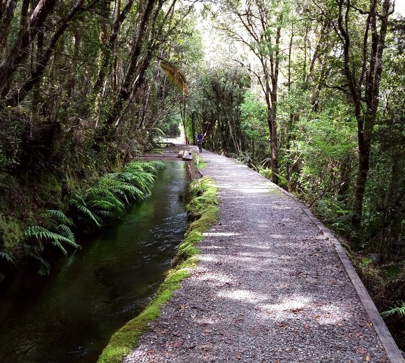 Kaniere Water Race Walkway