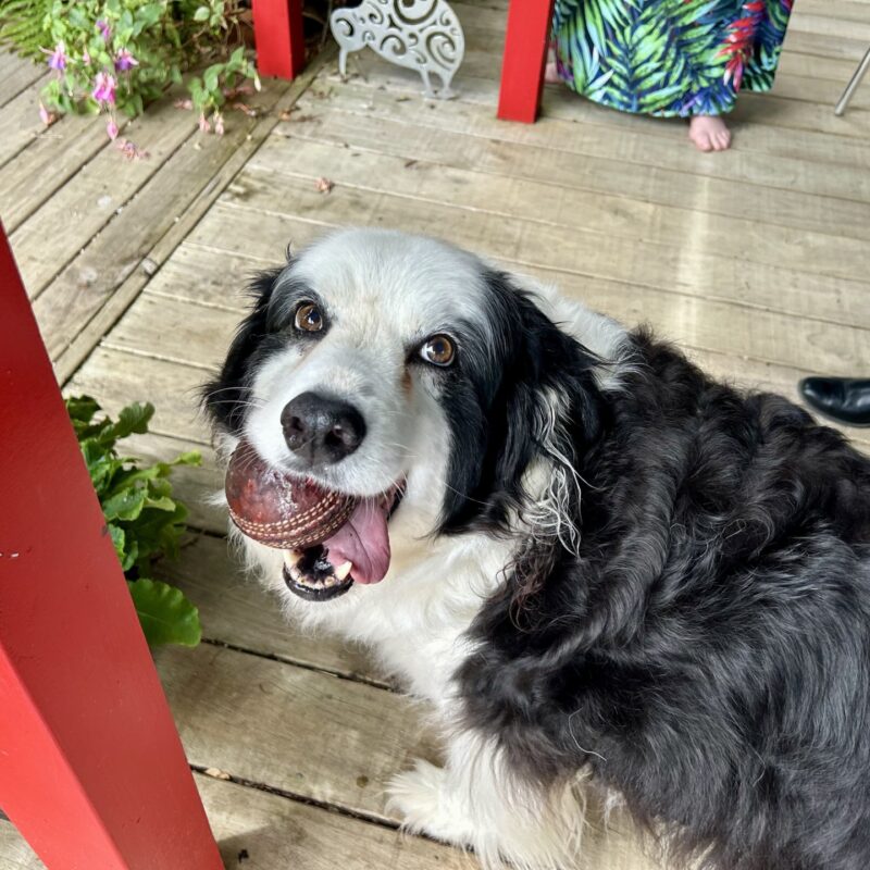 Mahinapua Retreat B&B