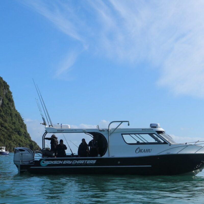 Jackson Bay Charters