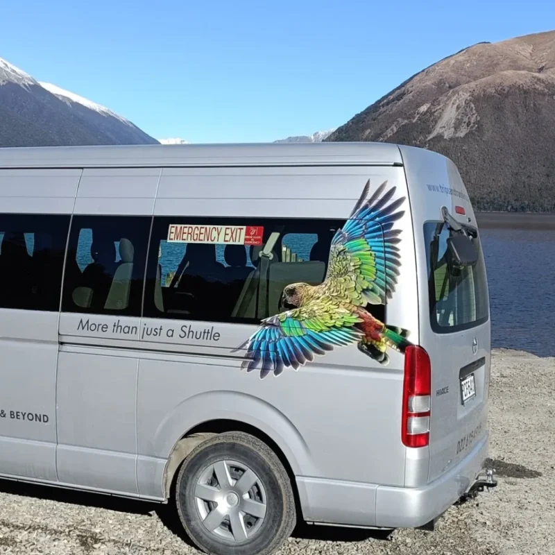 Trips & Transfers Nelson Lakes & Beyond