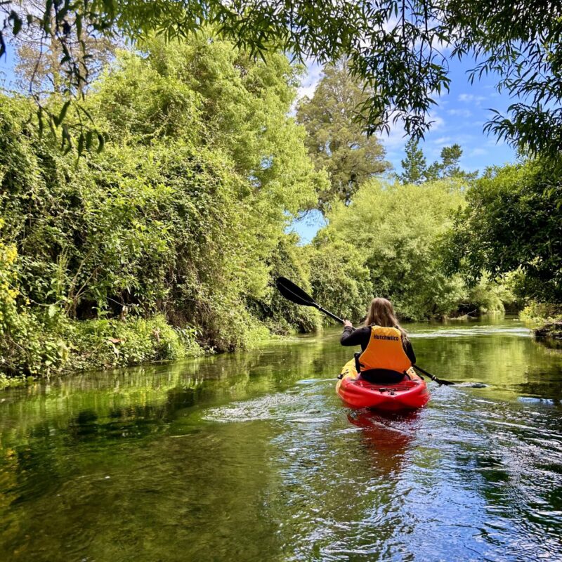 Cruisy Kayak Hokitika
