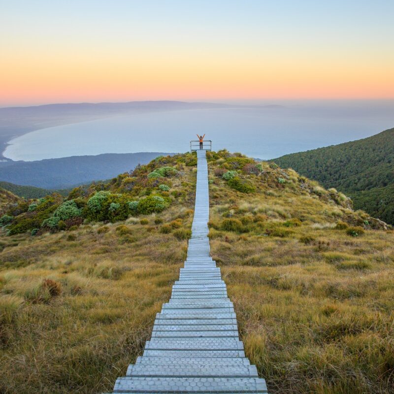 Tuatapere Hump Ridge Track